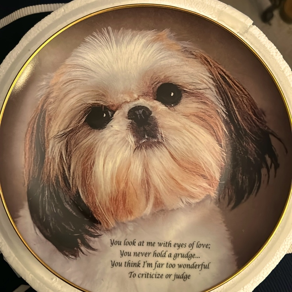 Shih-Tzu 8” decorative plate.